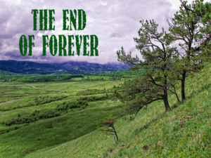 The_End_of_Forever
