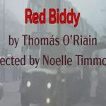 Red Biddy DSS